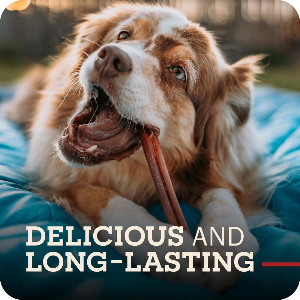 Redbarn palitos: fácil digestión y sabor natural para perros.
