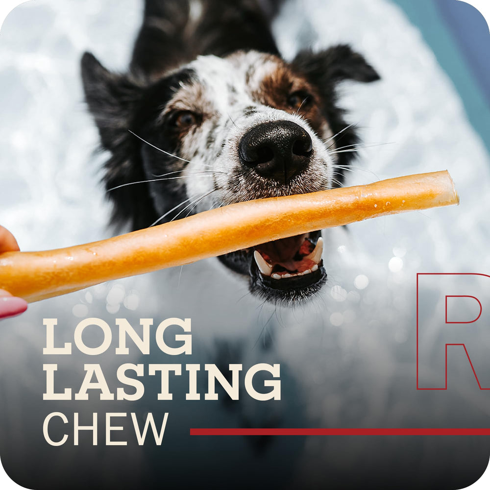 Textura dura de Redbarn Collagen Spring para masticación prolongada y satisfacción.