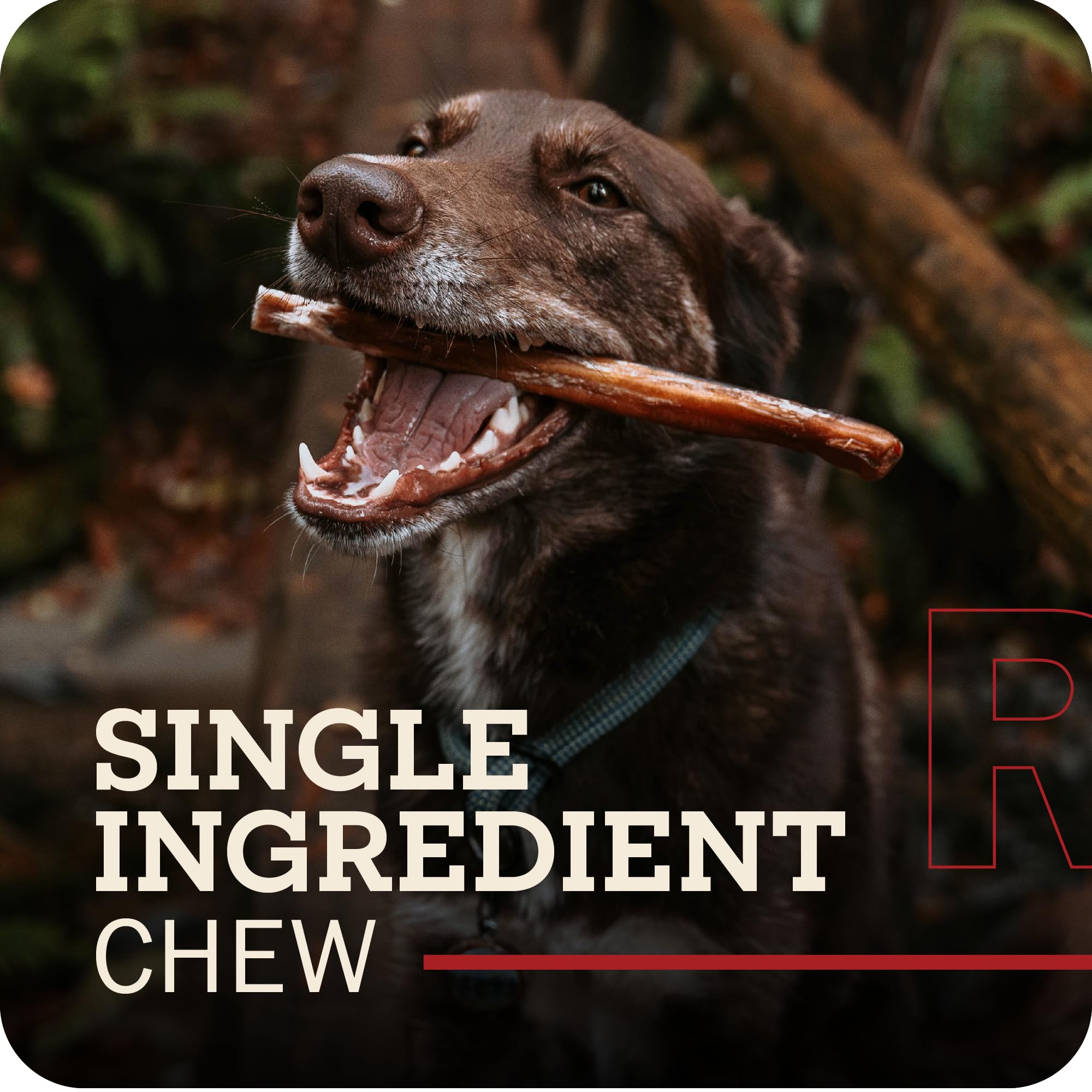 Redbarn palitos carne natural sin granos para perros activos.