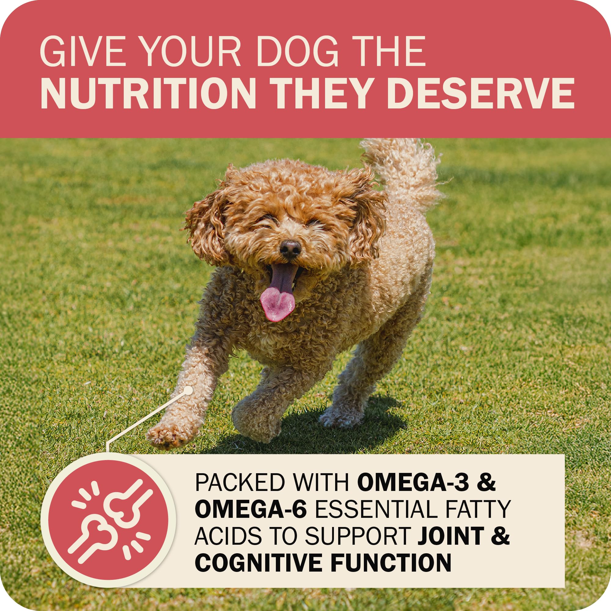 Redbarn Powerfood Fusion, Omega-3 y Omega-6 para piel y pelaje.