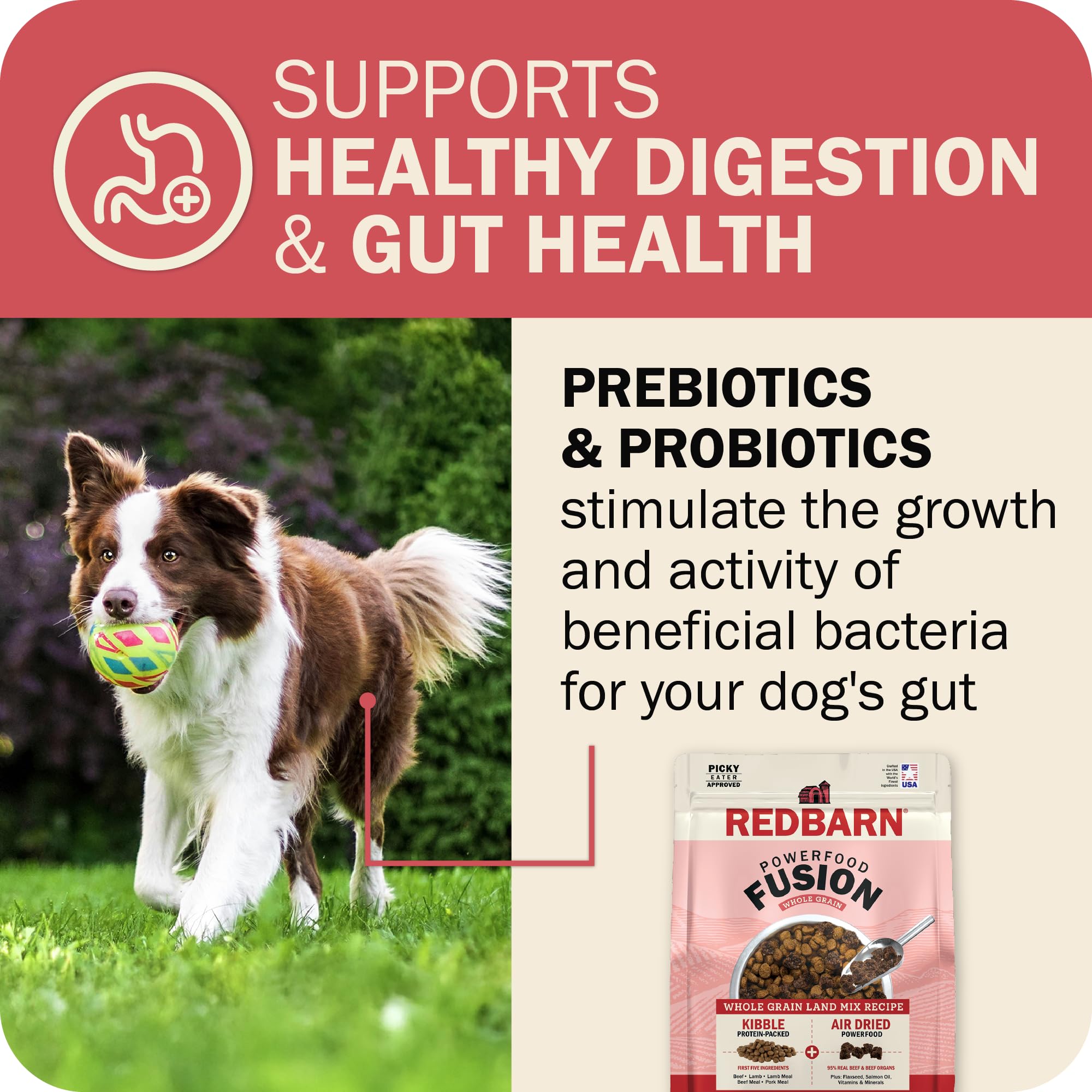 Redbarn Powerfood Fusion, primeras proteínas animales en la fórmula.