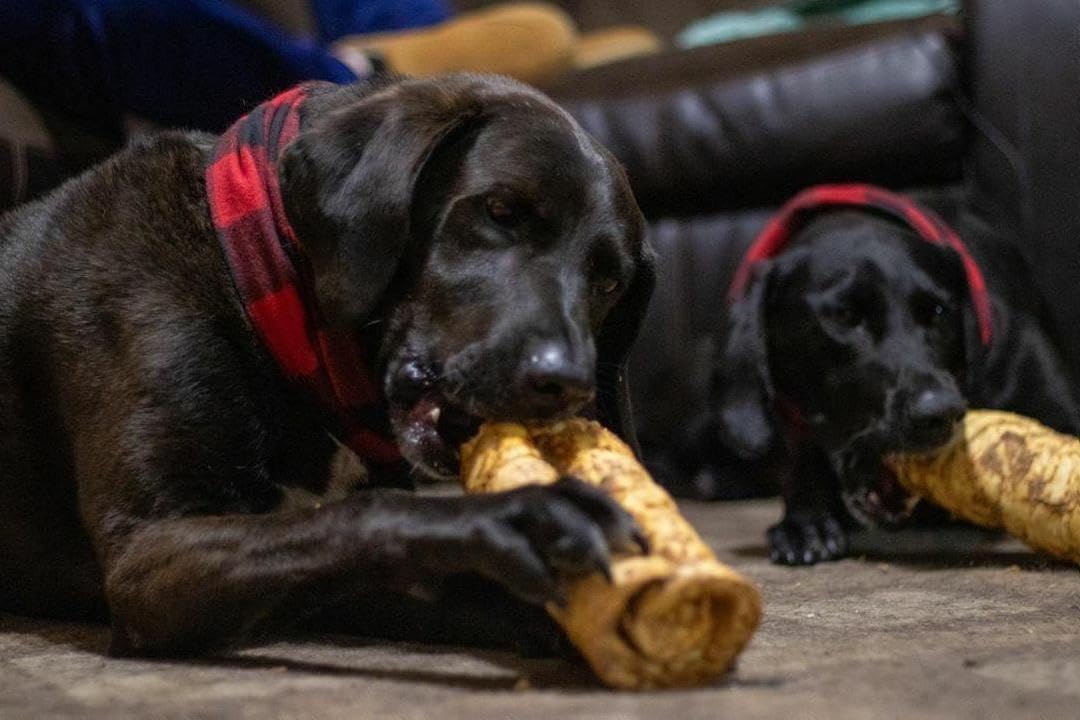 Rollos de mejilla para perros activos Redbarn, snack duradero.