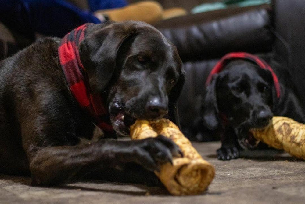 Rollos de mejilla para perros activos Redbarn, snack duradero.