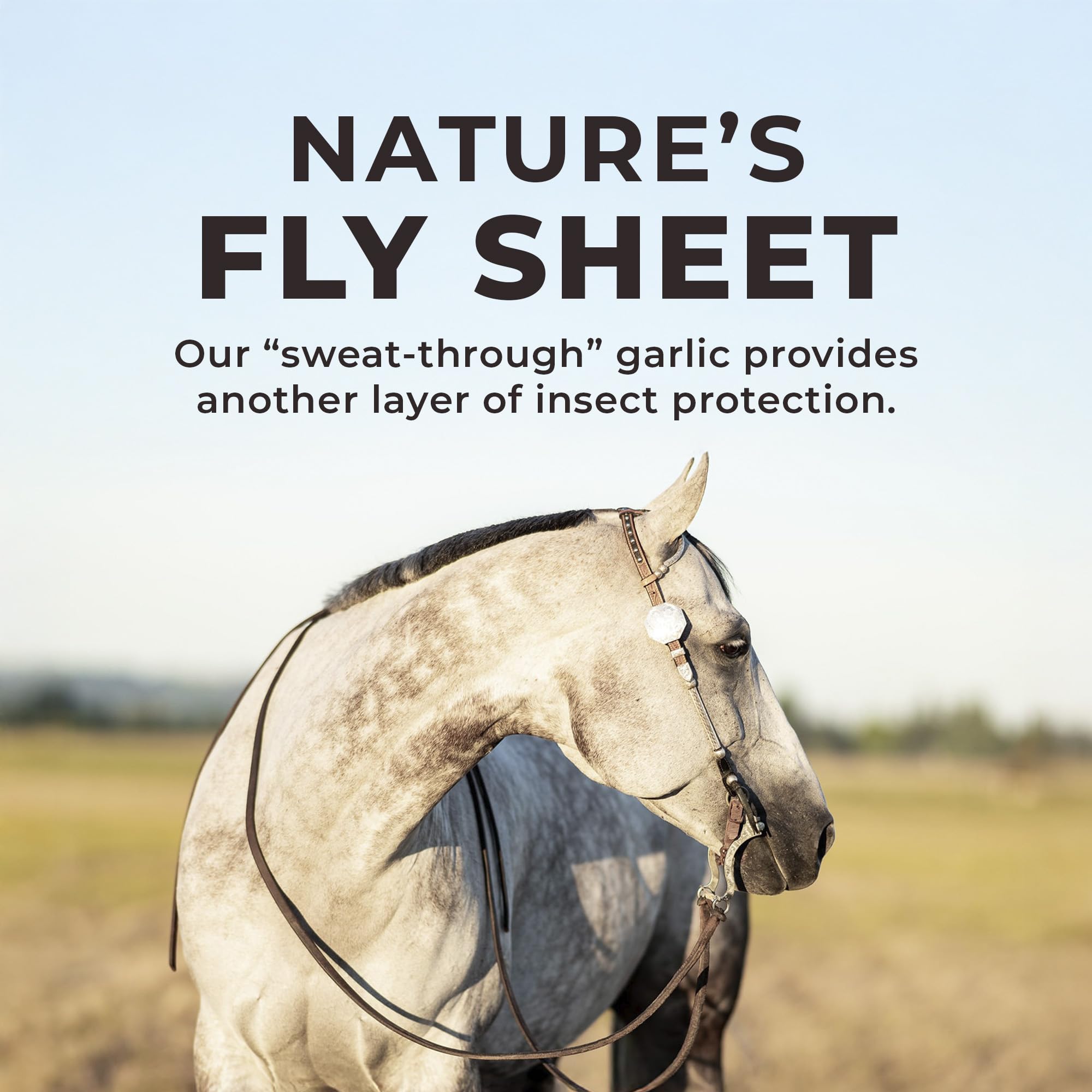 Aroma natural de ajo para palatabilidad en caballos con REDMOND Daily Red Triturado.
