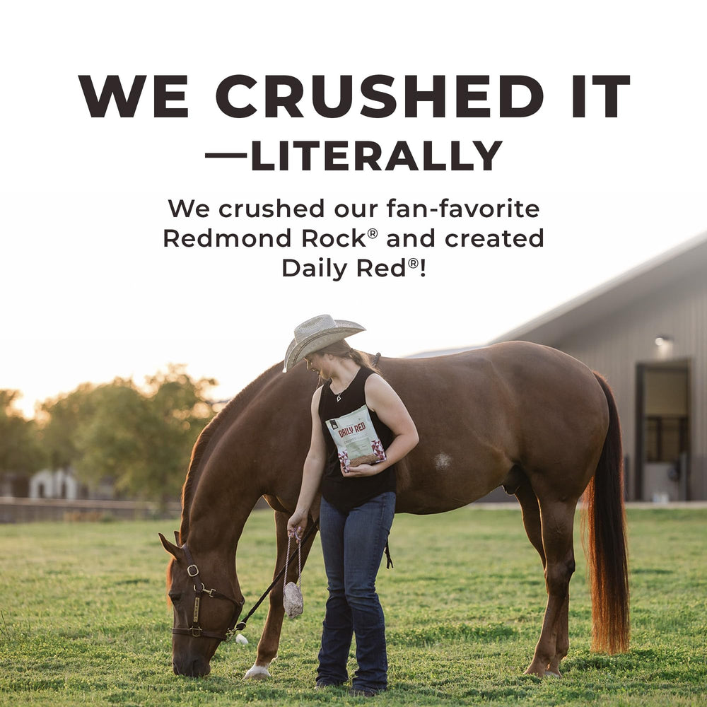 Uso diario sencillo para caballos activos con REDMOND Daily Red Triturado.