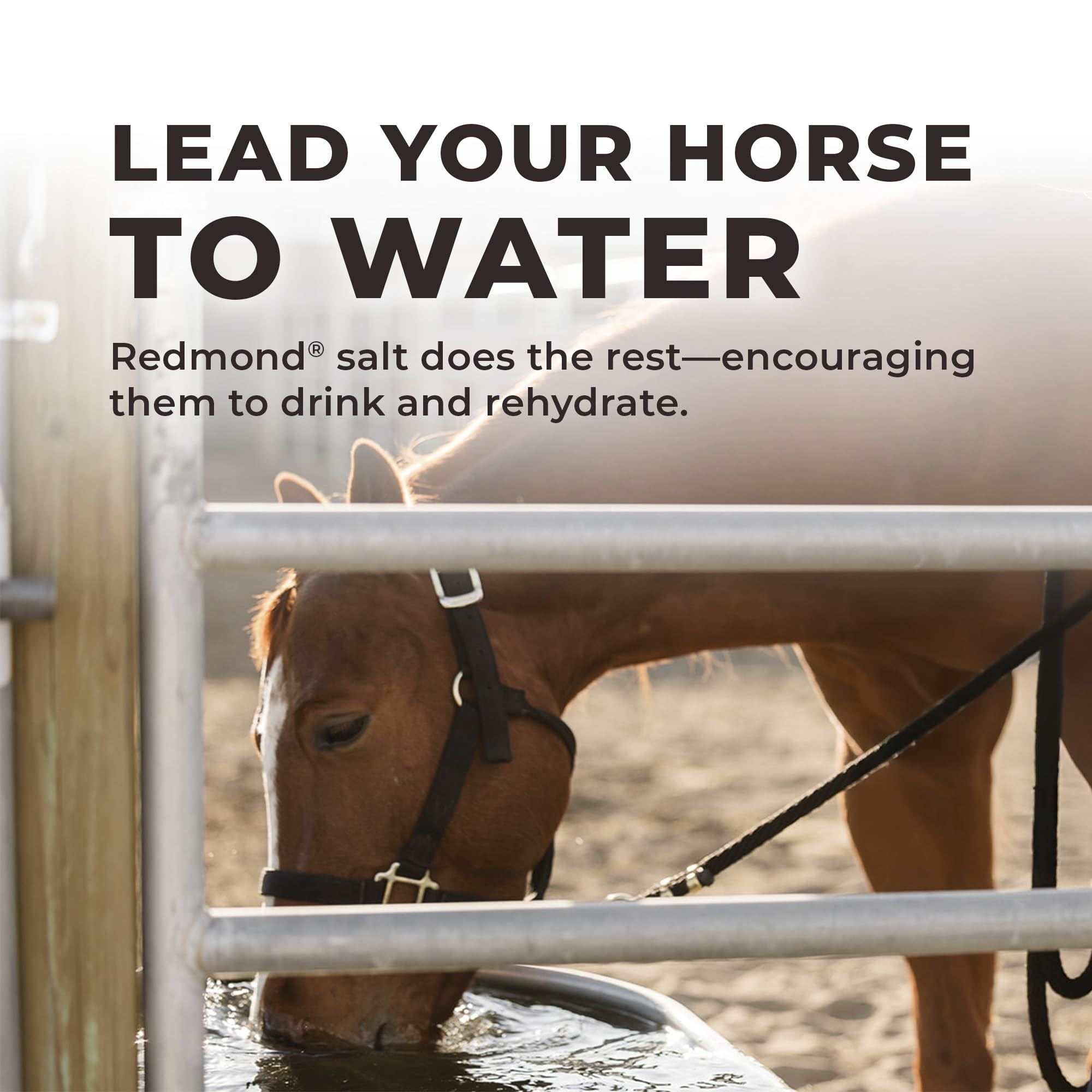 REDMOND Daily Red, vitaminas A, D y E para caballos, huesos fuertes.