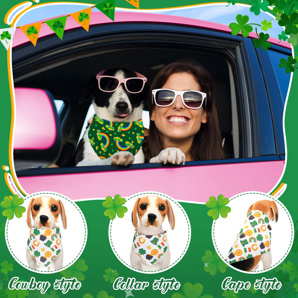 Conjunto para San Patricio Reginary ideal para fiestas y celebraciones con mascotas.