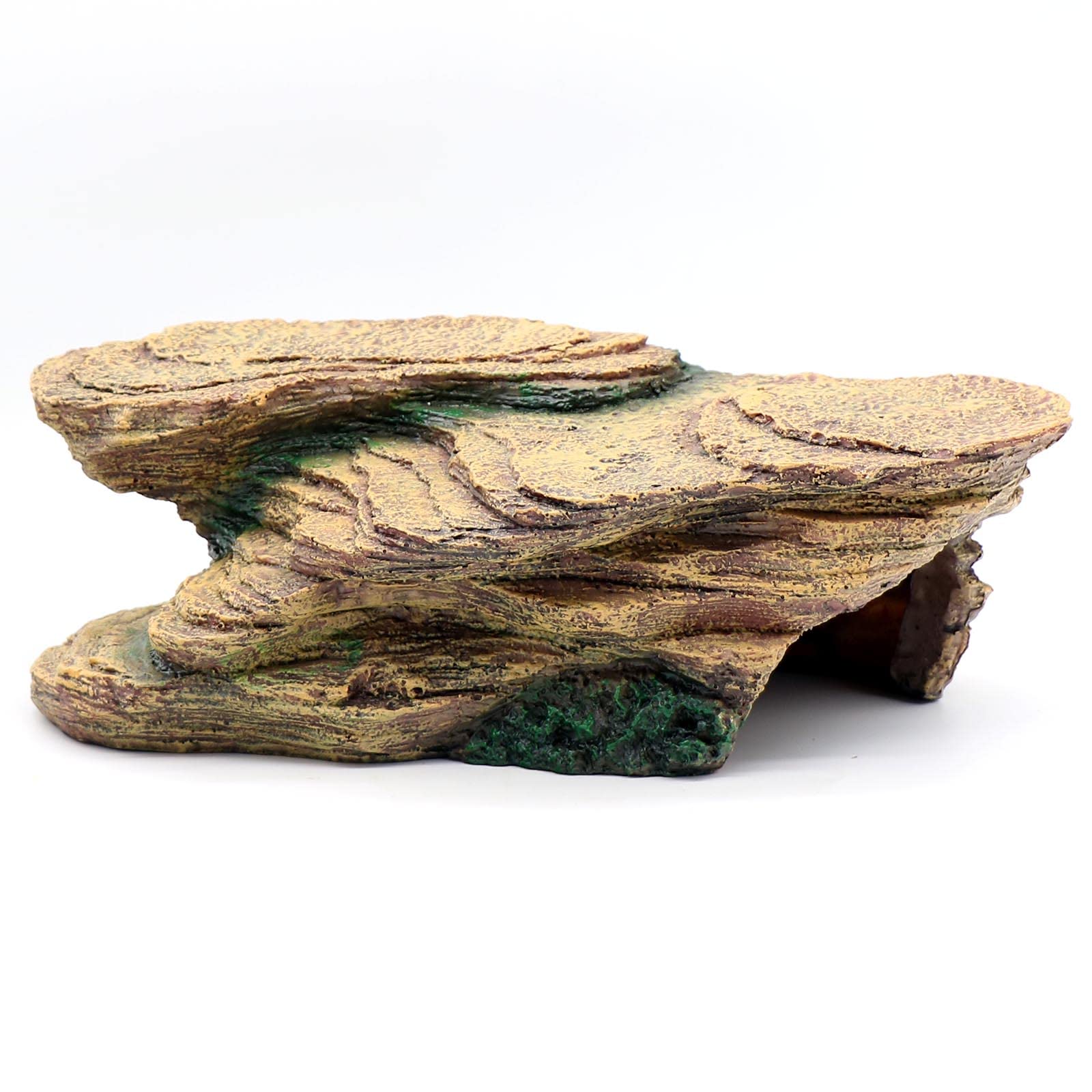 relaqcc accesorio terrario tortugas, uso múltiple para reptiles