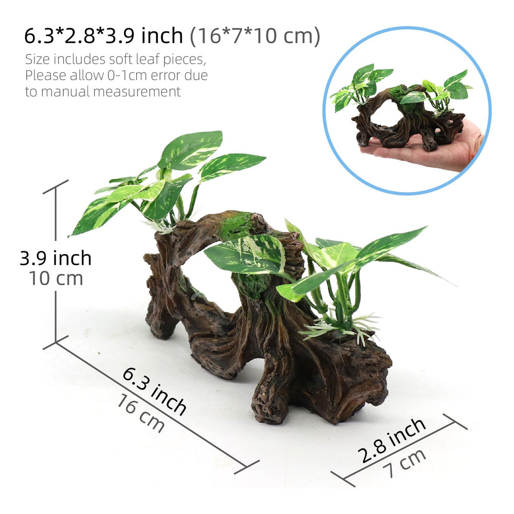 relaqcc plantas de seda para acuario aportan color y refugio.