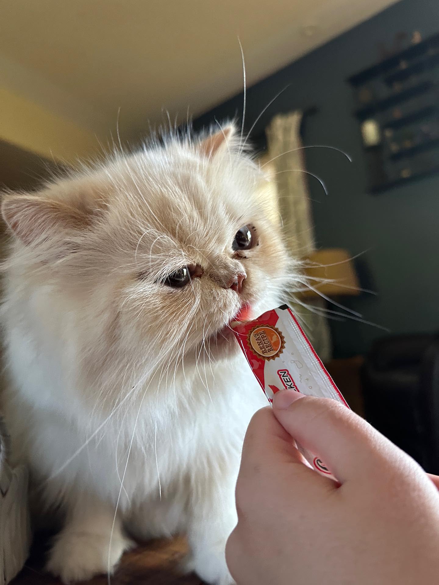 Kitty Licks de Rena's Recipe, sabor Pollo para variar las golosinas.