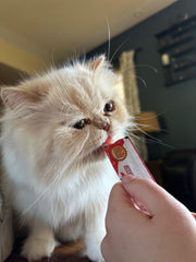 Kitty Licks de Rena's Recipe, sabor Pollo para variar las golosinas.