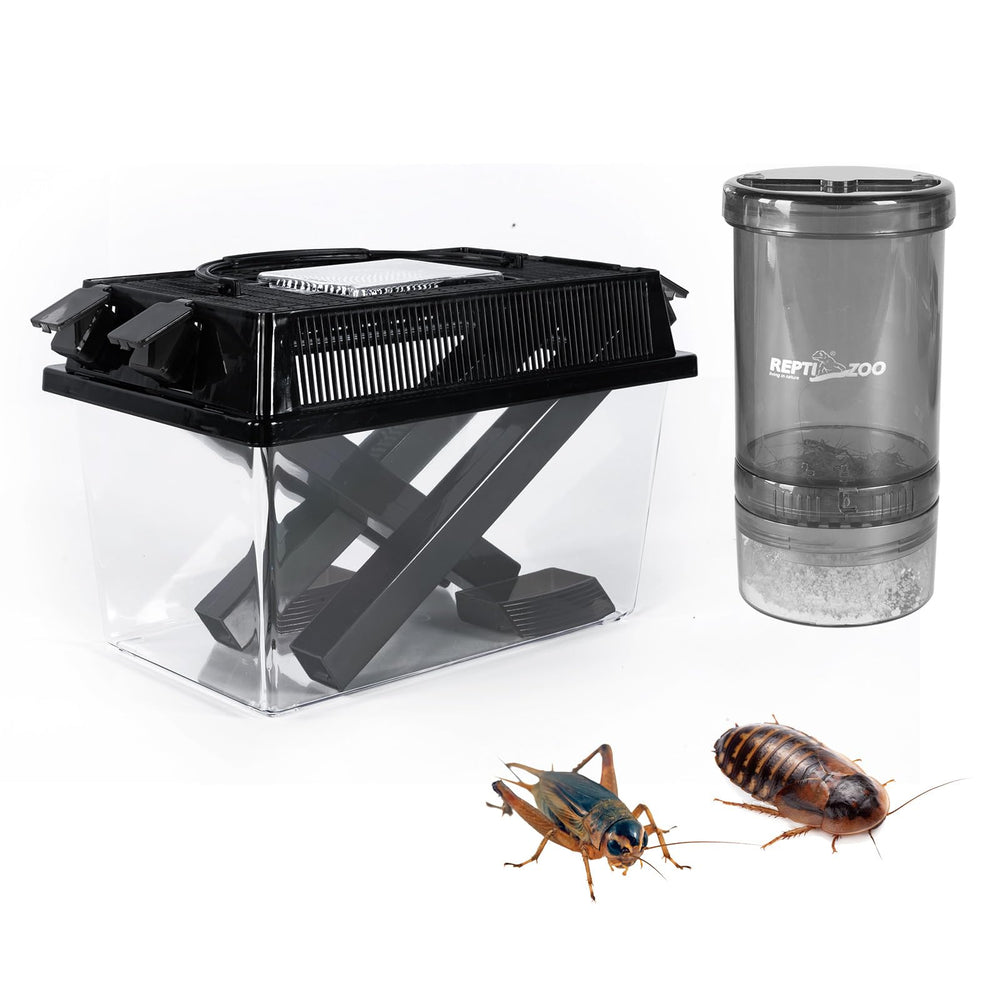 REPTI ZOO Cricket Keeper acrílico transparente para observar crías y alimentación controlada