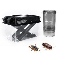 REPTI ZOO Cricket Keeper acrílico transparente para observar crías y alimentación controlada