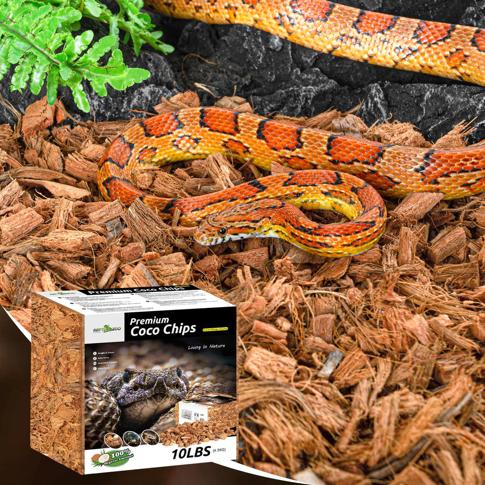 REPTI ZOO experiencia 16 años en productos para reptiles.