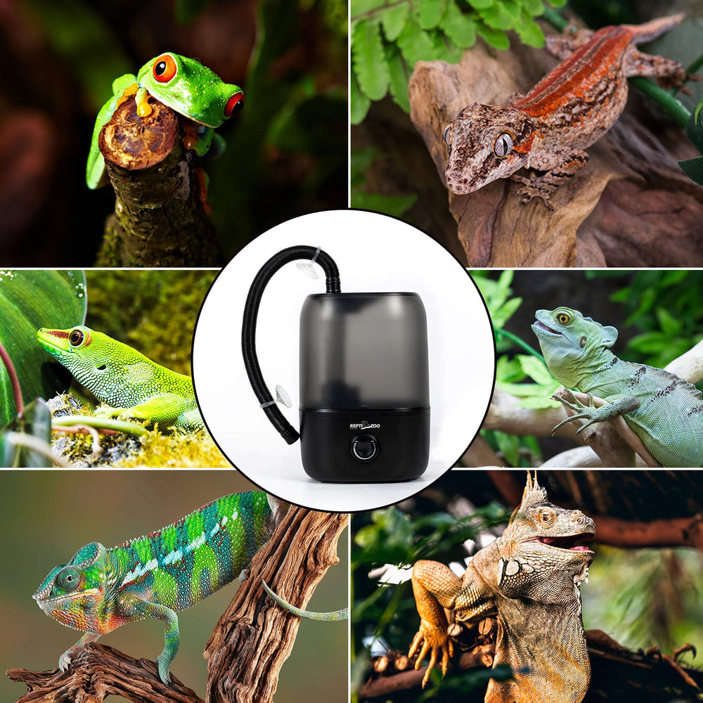 REPTI ZOO limpieza rápida 4L, tapa removible para un mantenimiento sencillo.