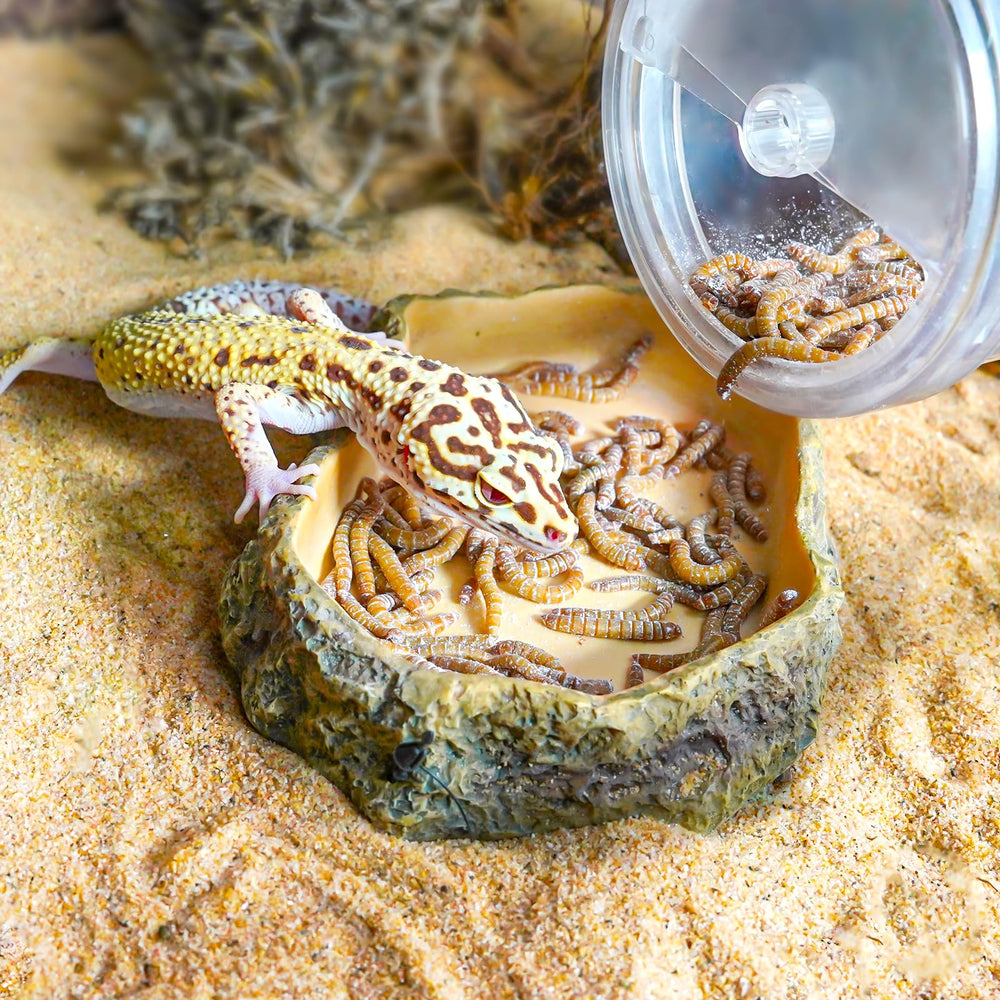 REPTI ZOO Operación fácil y rápida para alimentar reptiles con grillos.