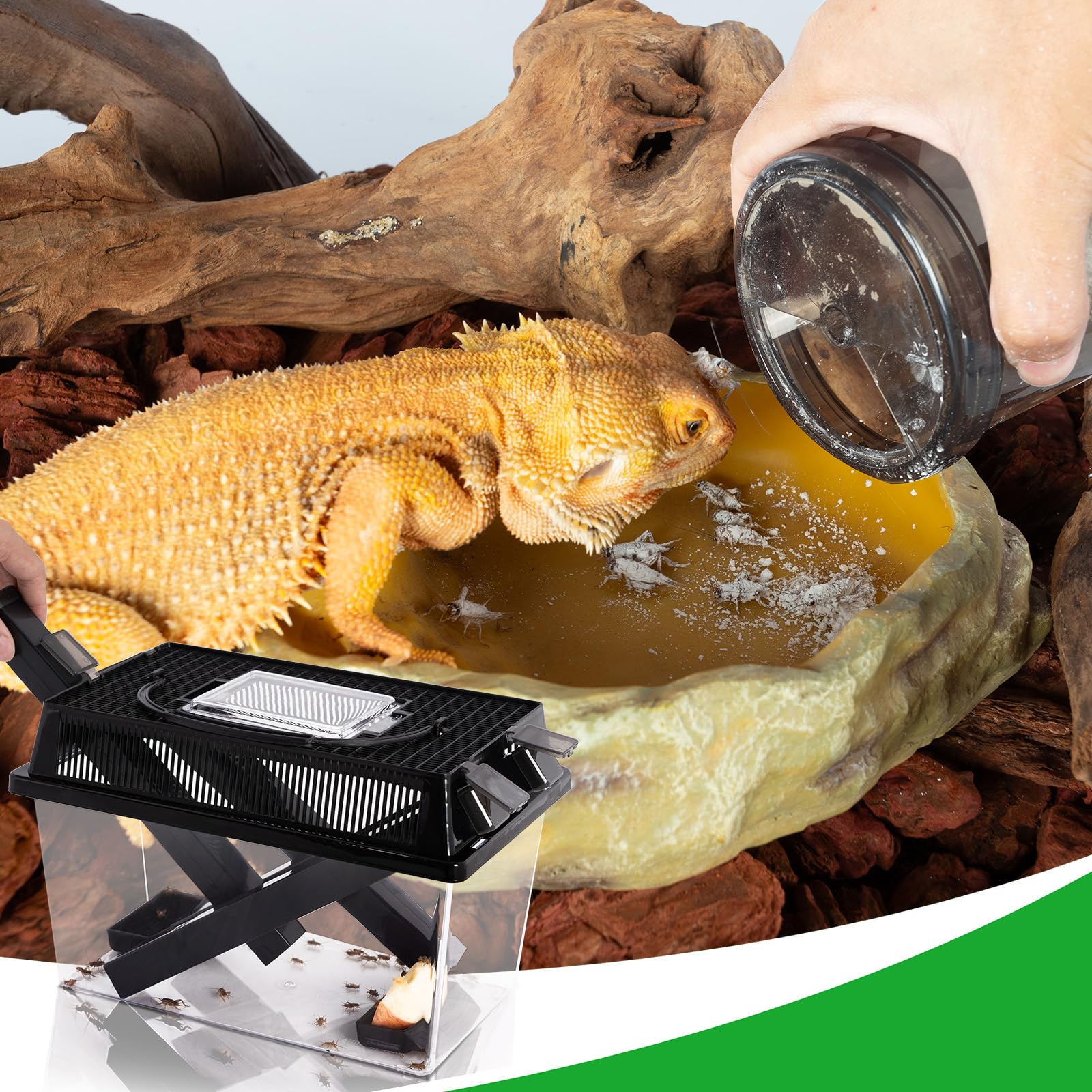 REPTI ZOO Kit multifuncional para reptiles como dragón barbudo y geckos
