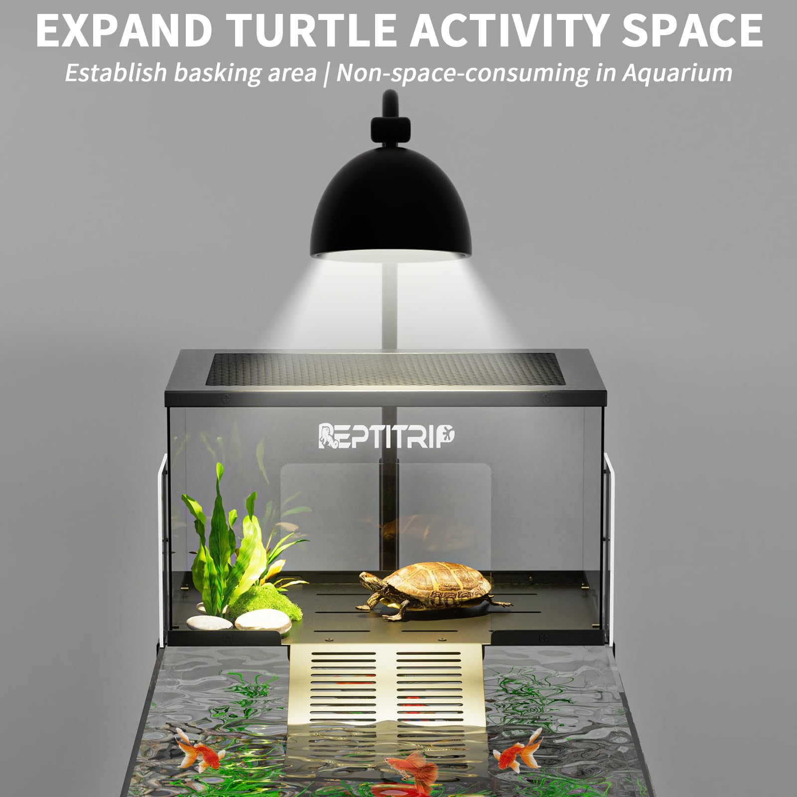 REPTITRIP tapa y base en acero inoxidable para uso en ambientes húmedos.