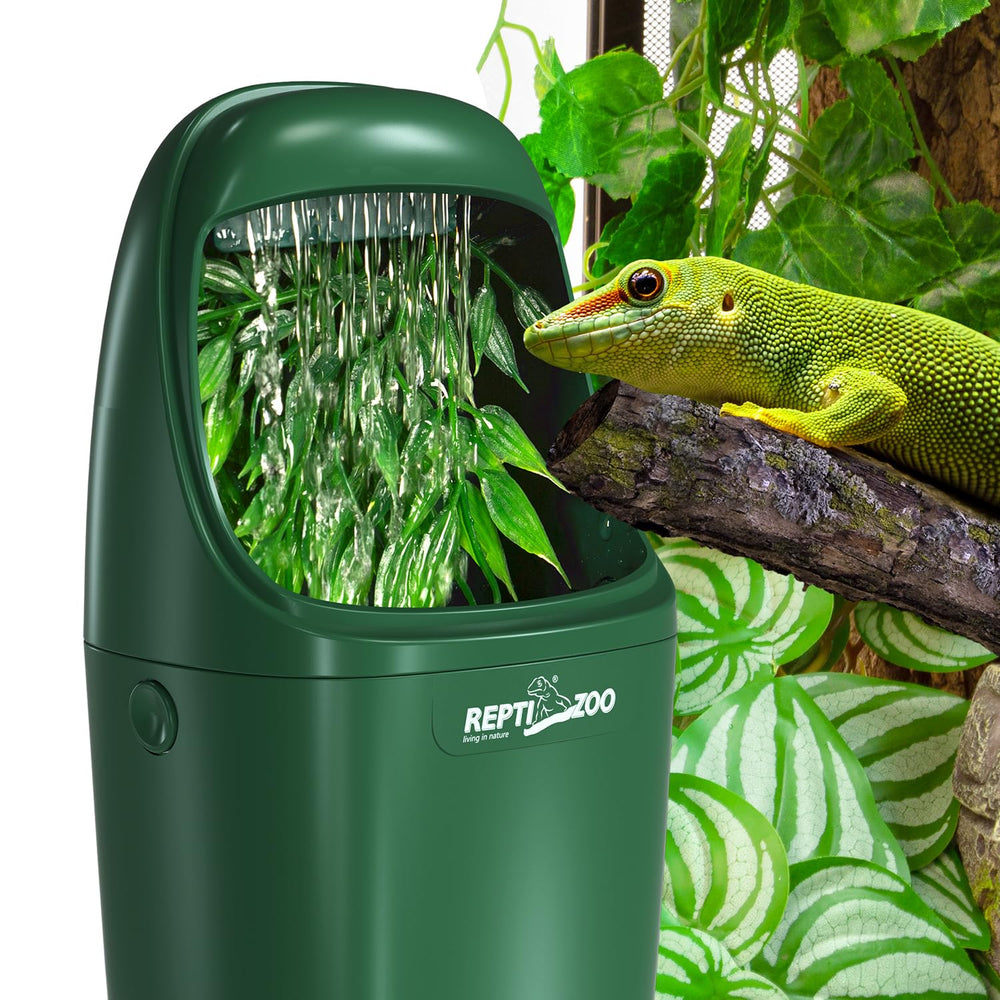 REPTIZOO accesorios terrario, conjunto práctico para beber y humidificar