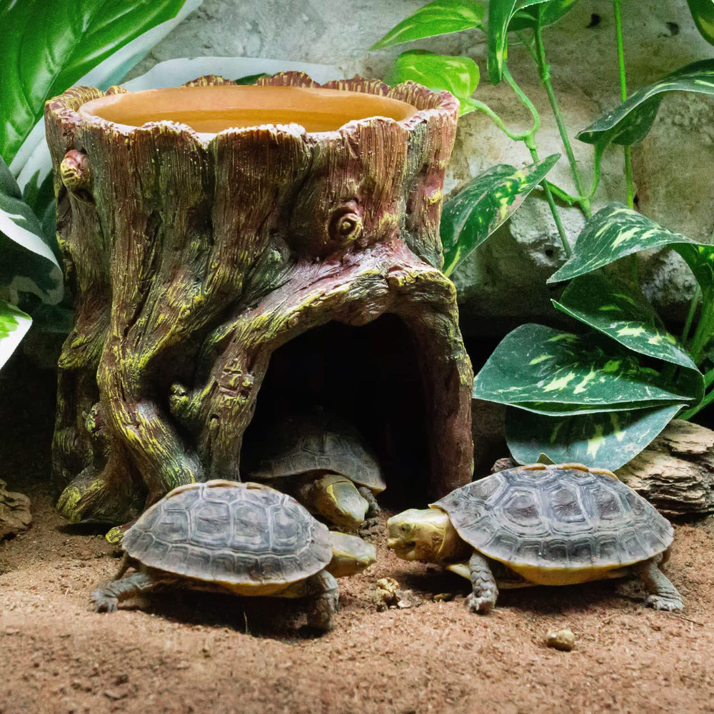 REPTIZOO Espacio interior cómodo para refugio nocturno y descanso.