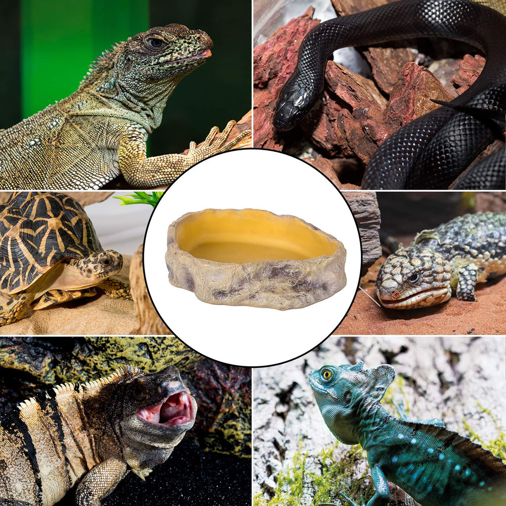 REPTIZOO uso diario reptiles anfibios: agua y alimento a mano.