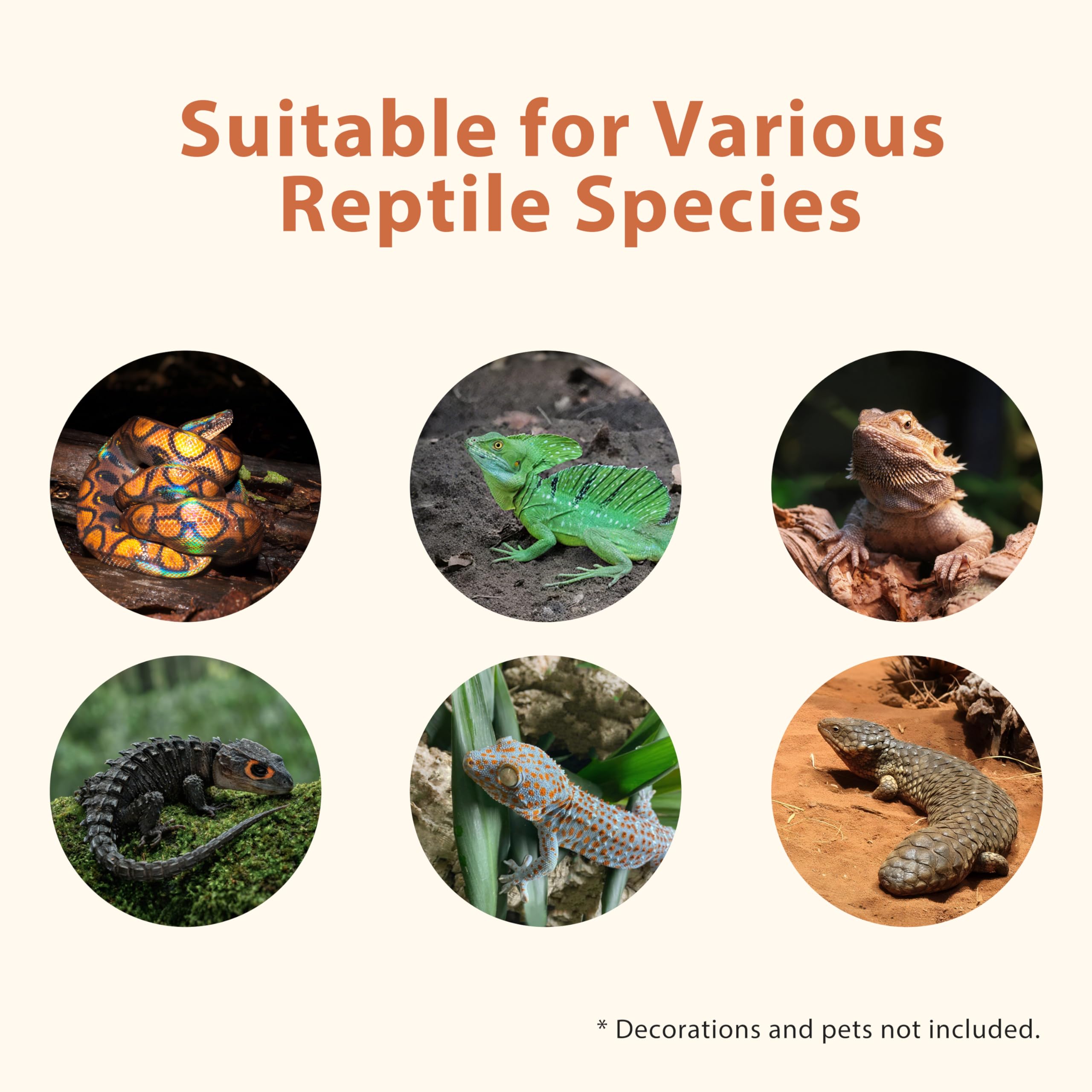 RepWild dimensiones varias permiten adaptar el terrario a especies distintas.