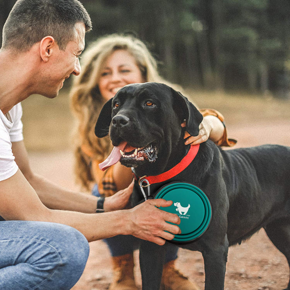 Rest-Eazzzy paquete de dos unidades, solución portátil para mascotas en salidas.