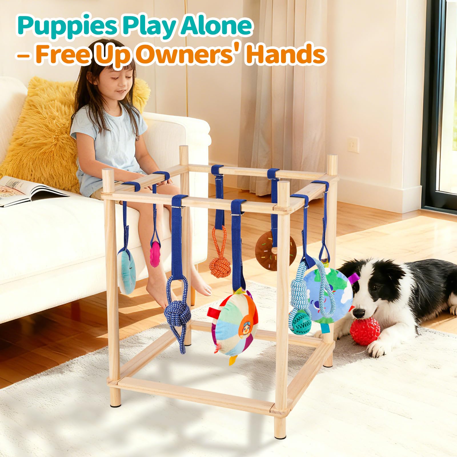 Retyion juguetes estimulantes para perritos, desarrollan habilidades motoras mediante el juego