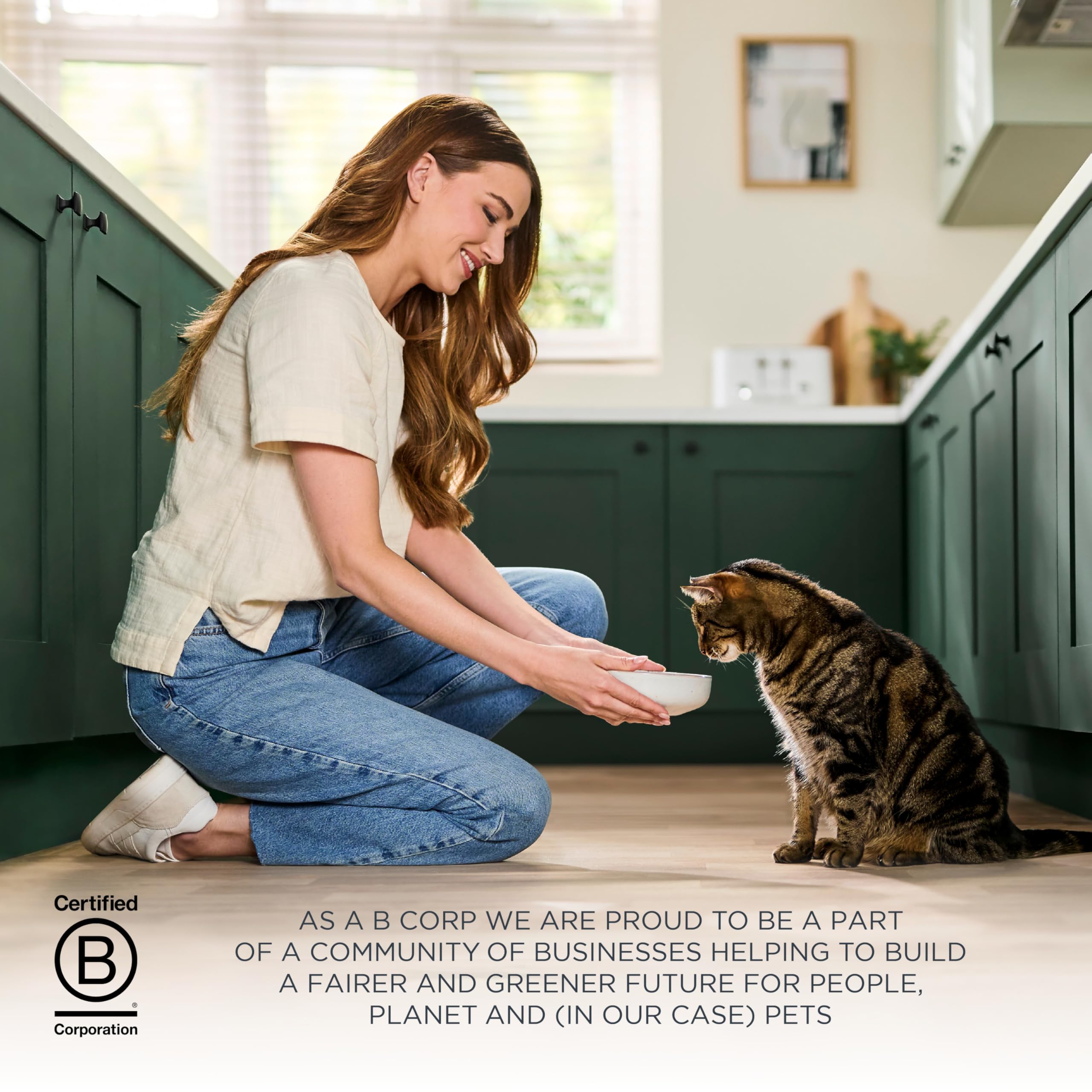 Texturas y sabores variados de Reveal para gatos.