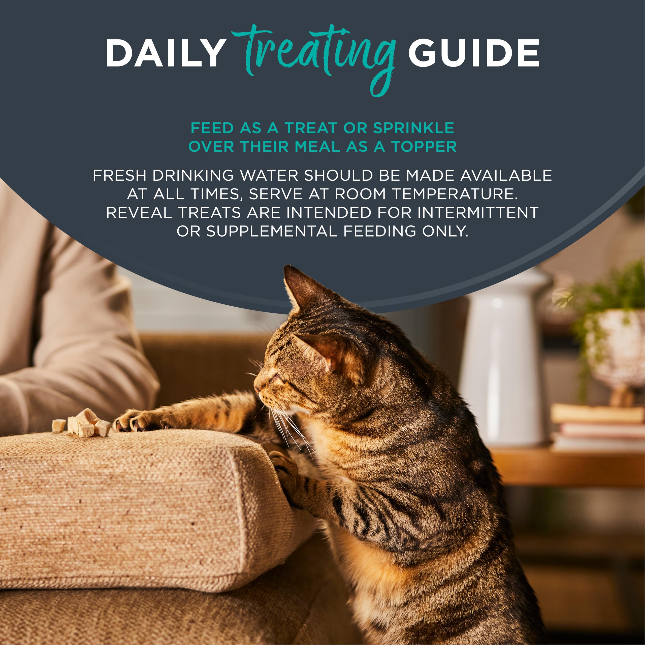 Reveal texturas sabrosas: variedad que atrae a gatos selectos.