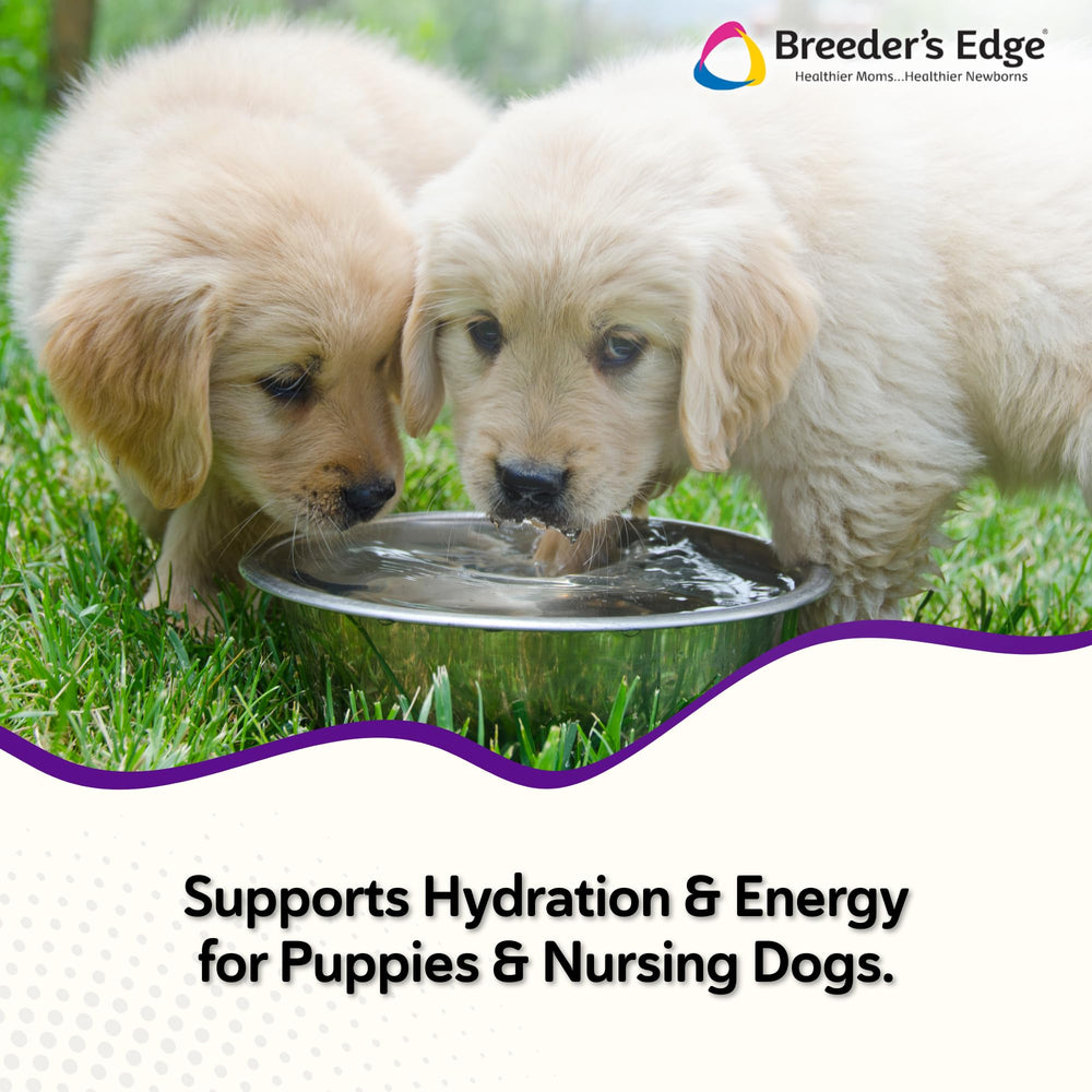 Revival Animal Health Breeder's Edge Puppy Lyte, polvo sabor pollo, mejora la energía en cachorros.
