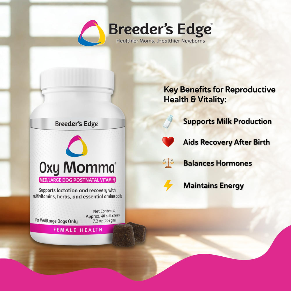 Mamás perro lactante con Breeder's Edge Oxy Momma, apoyo a la recuperación posparto.