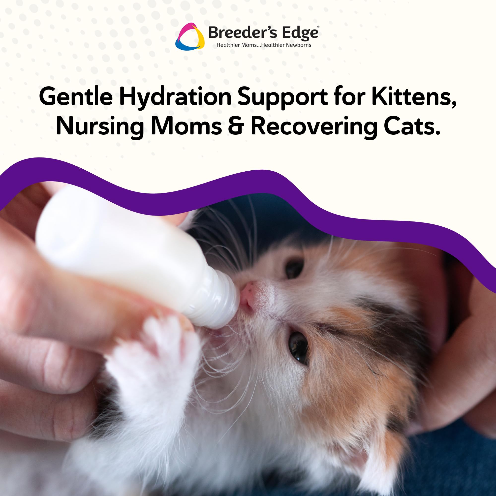 Revival Animal Health Kitten Lyte gato bebiendo promueve equilibrio de fluidos.
