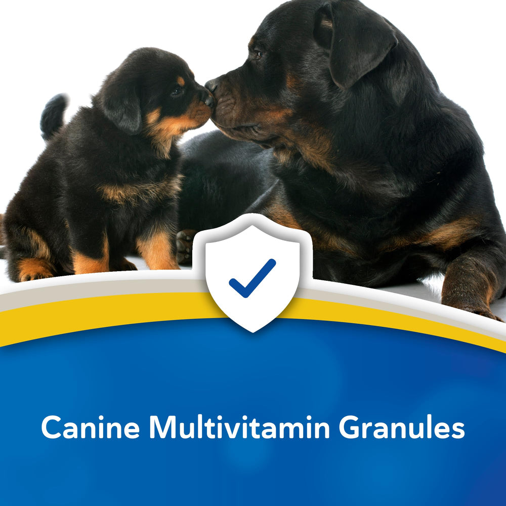 Vitaminas y minerales clave como D3 y calcio en Doc Roy's Daily Care Extra Canine.