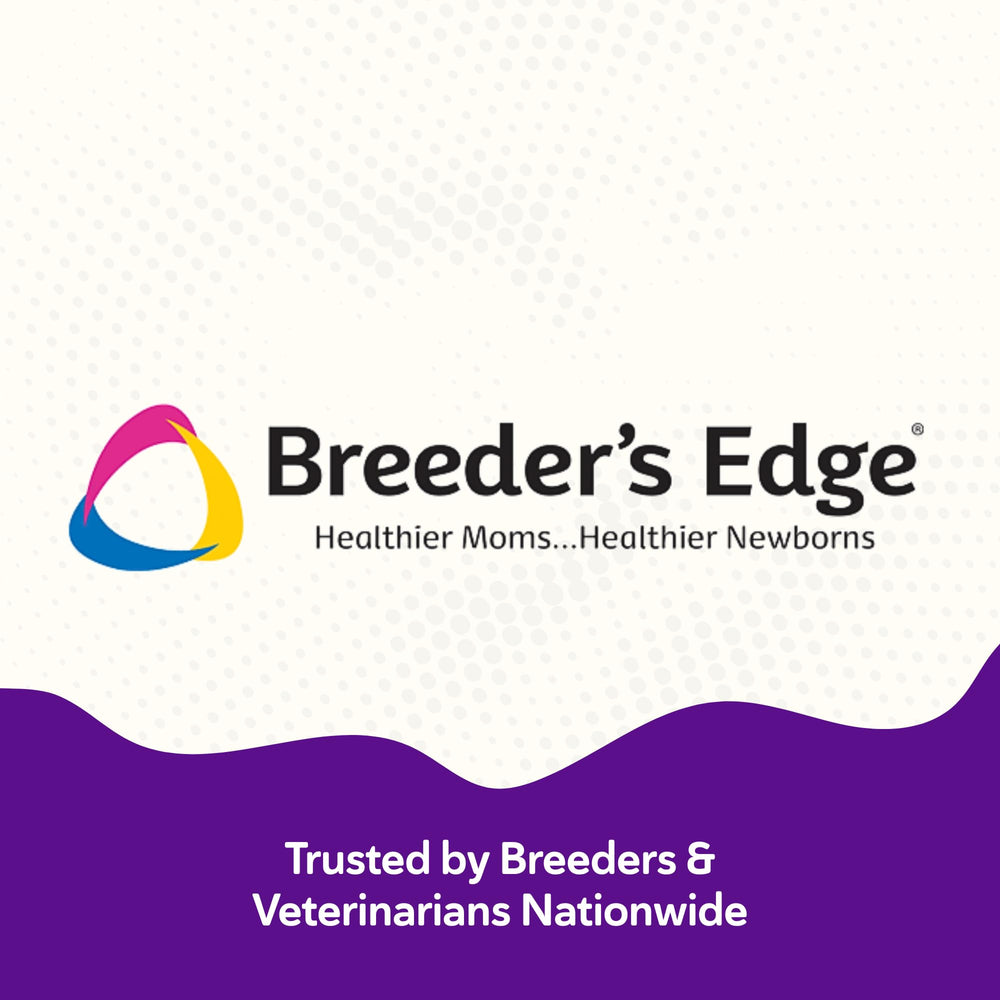 Uso diario de Breeder’s Edge B Strong en la rutina de mascotas.