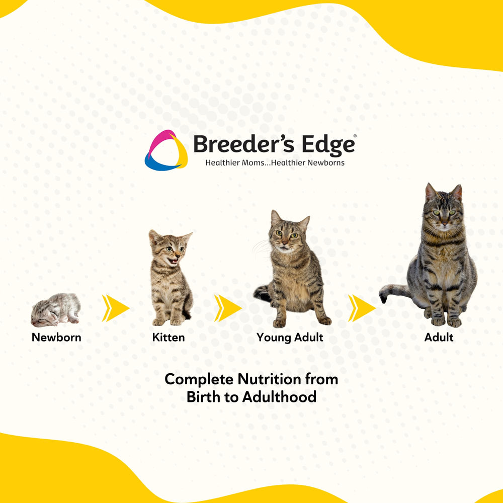 Revival Breeder's Edge Foster Care Feline, leche en polvo como golosina suave para felinos.
