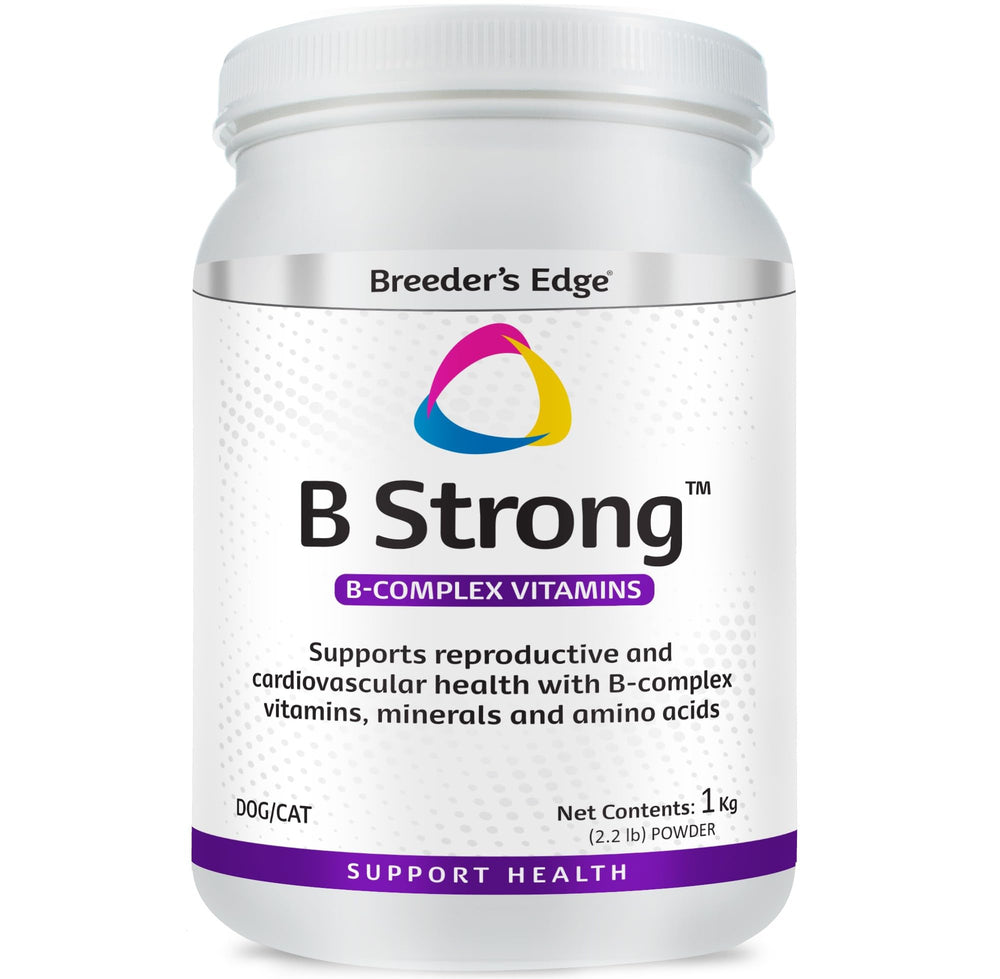 Envase Revival B Strong listo para suplementación diaria en perros y gatos.