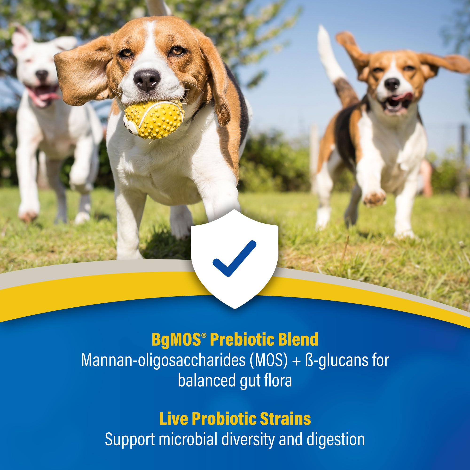 Doc Roy's GI Synbiotics sabor pollo, opción sabrosa para mascotas selectivas.