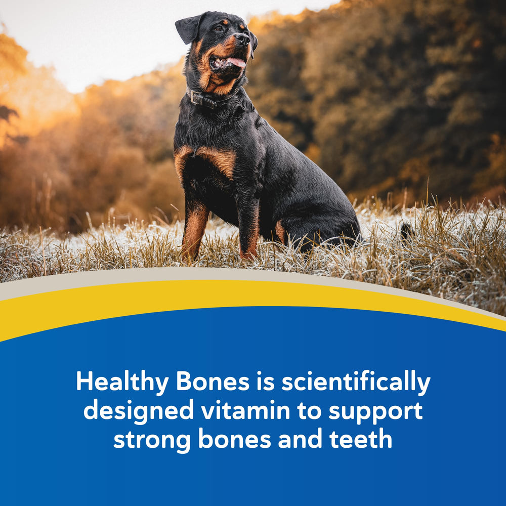 Cucharilla medidora de Doc Roy’s Healthy Bones junto a granulado.
