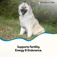 Revival Breeder’s Edge Oxy Stud, gomitas suaves para perros y gatos.