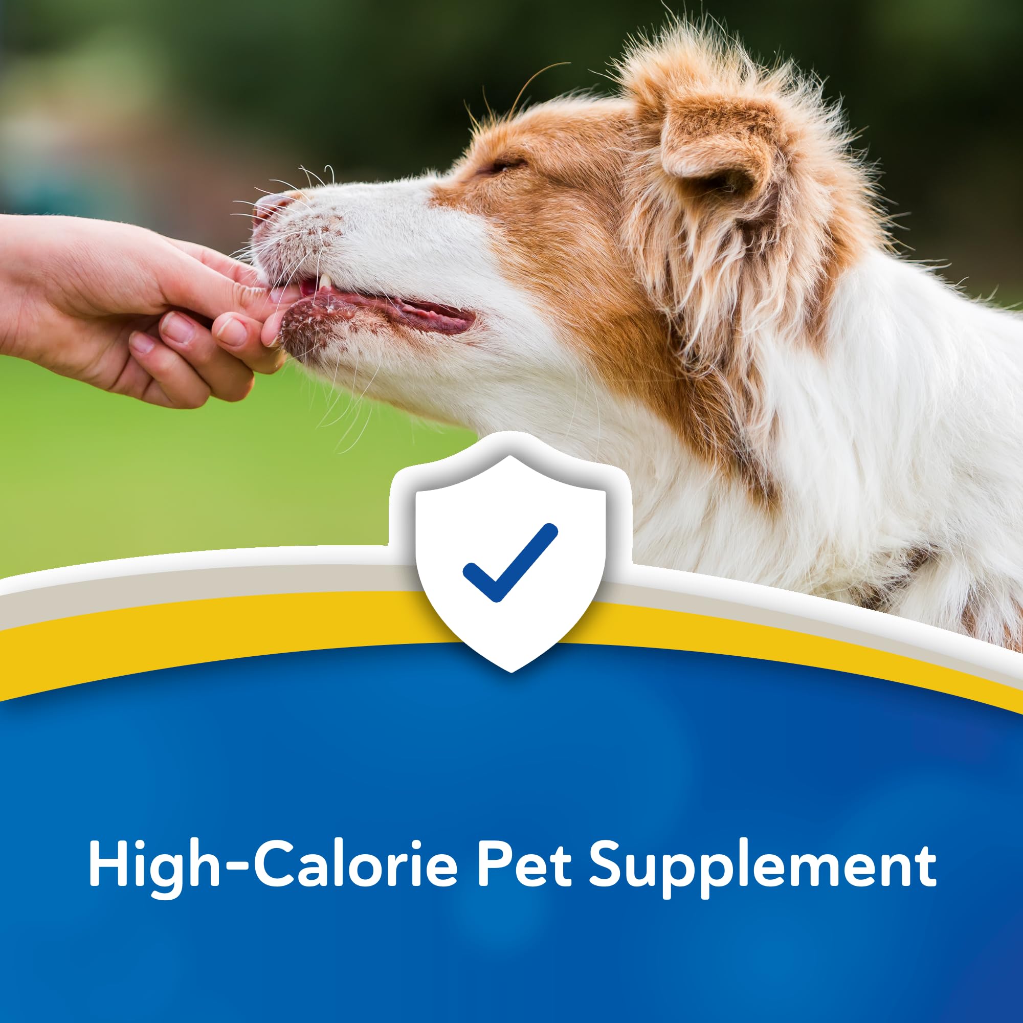 Forti Cal Soft Chews para uso diario, suplemento nutricional para mascotas.