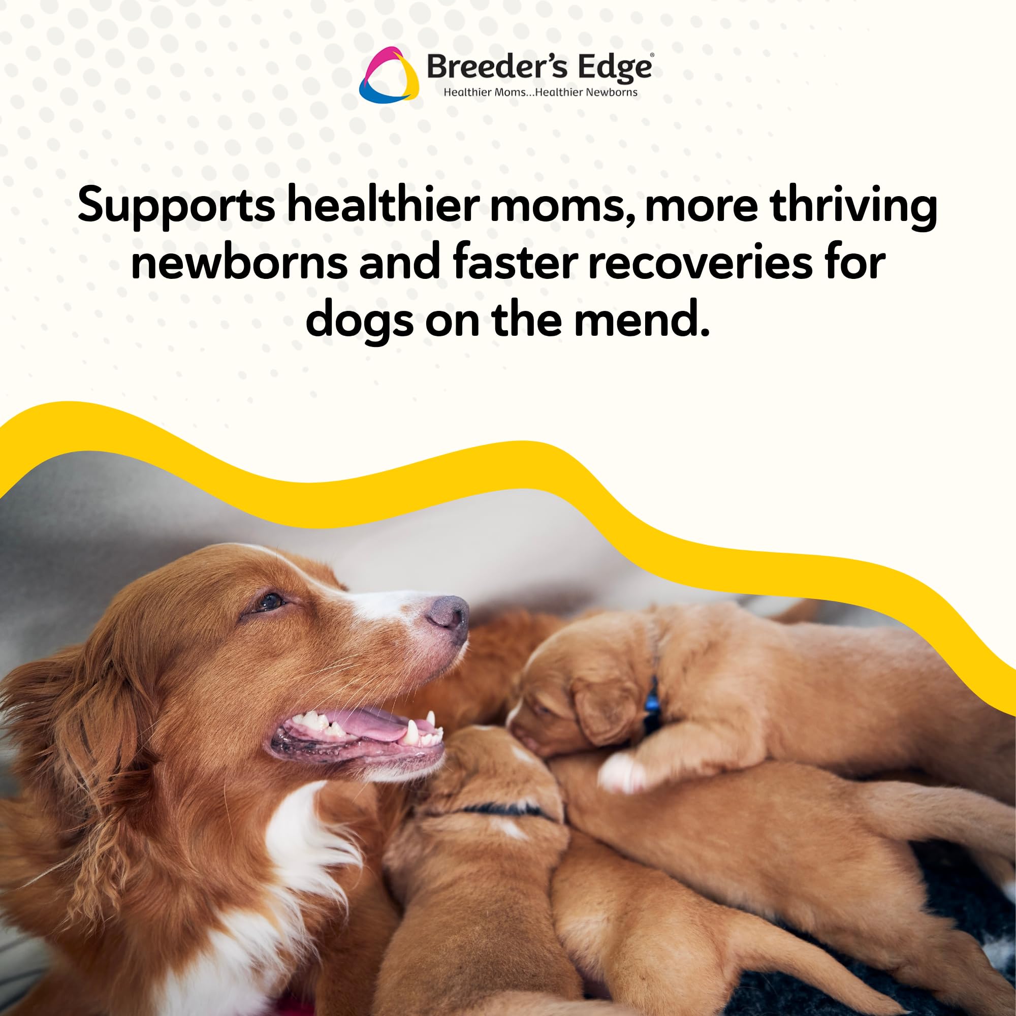 Revival Foster Care: biberón para alimentación suave de cachorros.