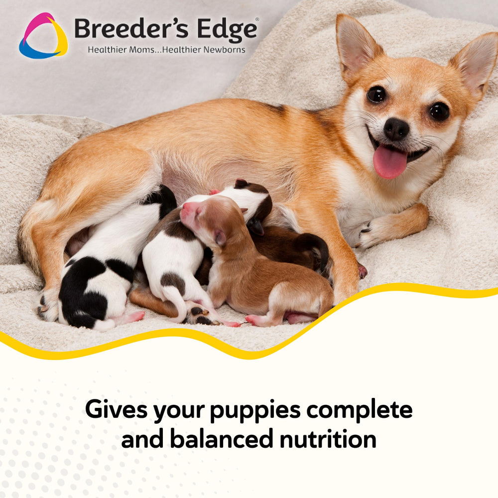 Revival Foster Care: cachorros comiendo en tazón con nutrición completa.