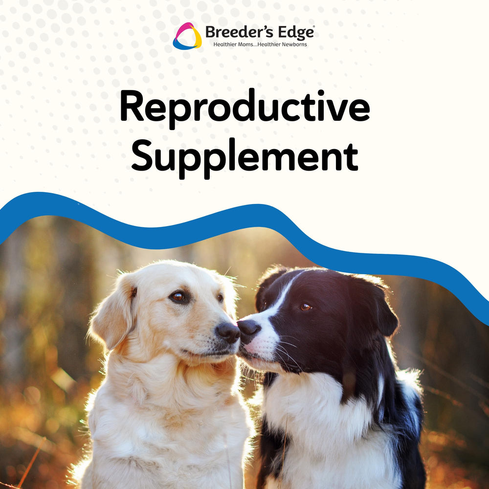 Breeder’s Edge Get Him Going: detalle de ingredientes clave para apoyo reproductivo.