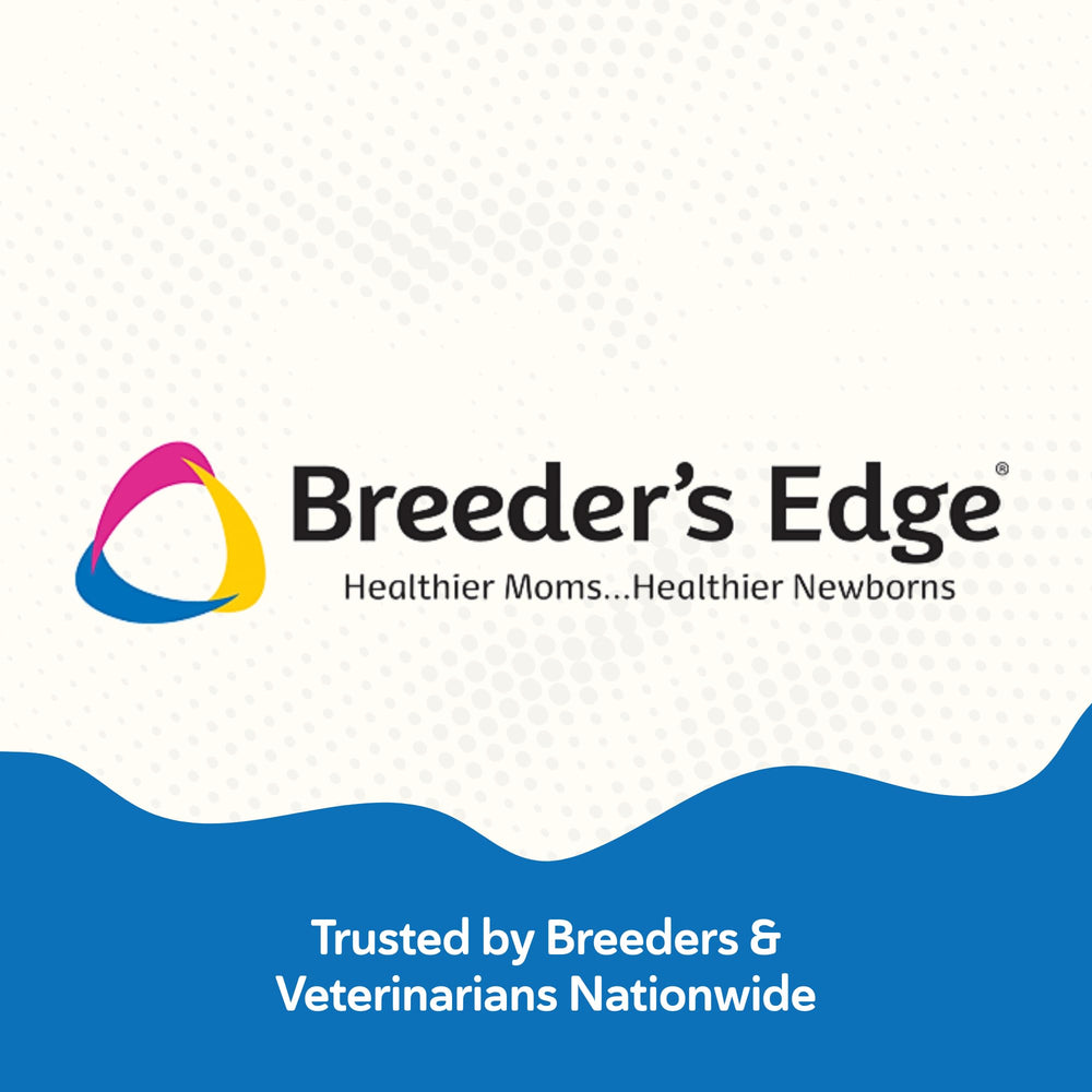 Breeder’s Edge Get Him Going: visión del producto para mejorar la vitalidad de un perro macho.