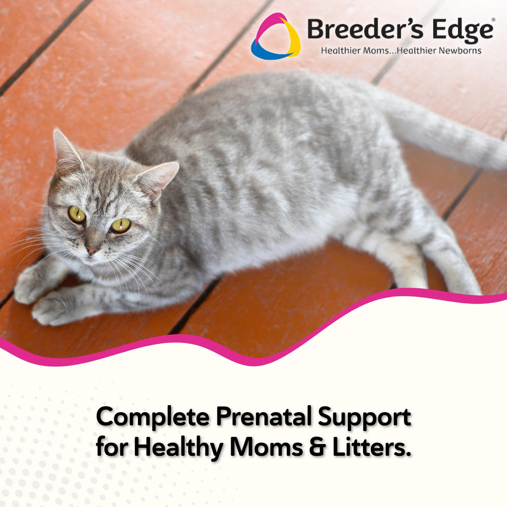 Pastillas prenatales de Oxy Mate para perros y gatos, sabor agradable y masticables.