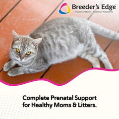 Pastillas prenatales de Oxy Mate para perros y gatos, sabor agradable y masticables.