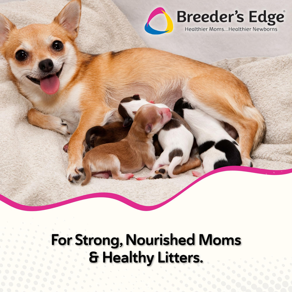 Revival Oxy Momma Soft Chews, masticables suaves, ideal para lactancia en perros y gatos.