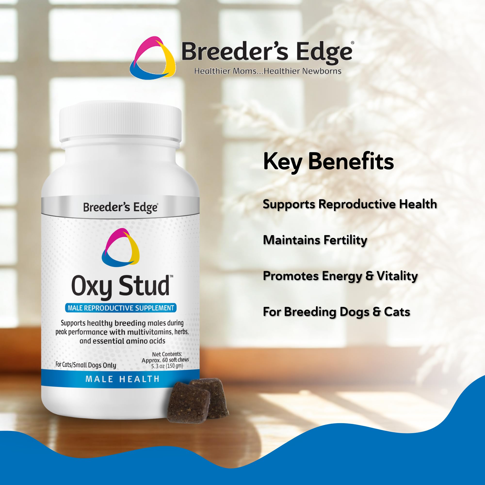 Revival Oxy Stud: envase práctico para incorporar el suplemento a la rutina diaria.