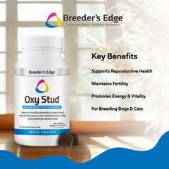 Revival Oxy Stud: envase práctico para incorporar el suplemento a la rutina diaria.